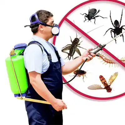 pest control Monson Center